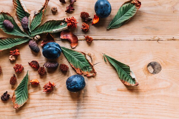 Photo gratuite cônes d'aulne parmi les feuilles et les prunes