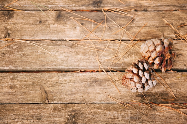 Cones de pin sur texture en bois