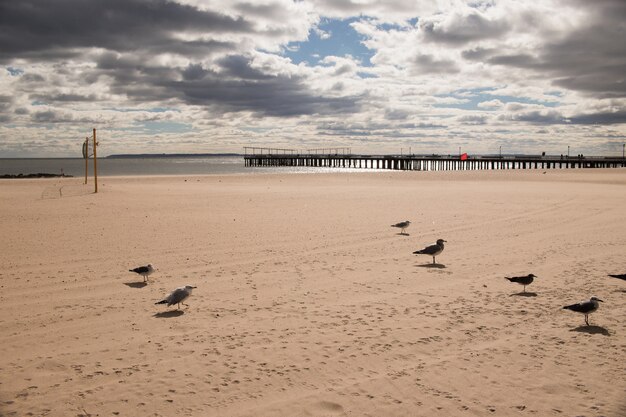 Coney Island Beach