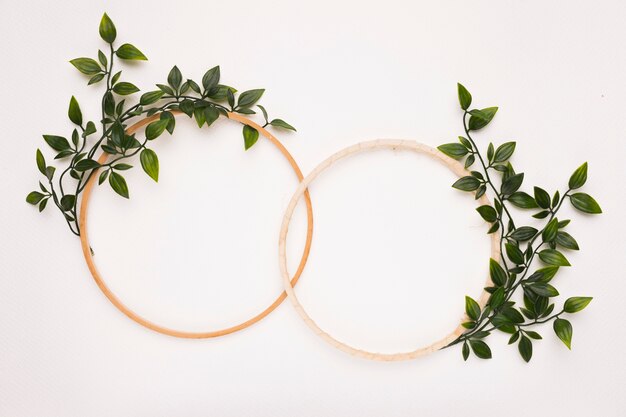 Connecté cadres circulaires en bois avec des feuilles vertes sur fond blanc