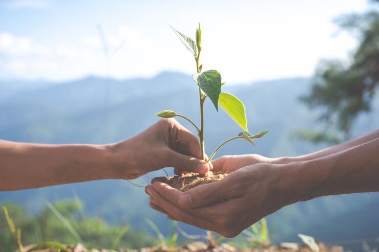 Photo gratuit conservation de l'environnement dans le jardin pour les enfants.