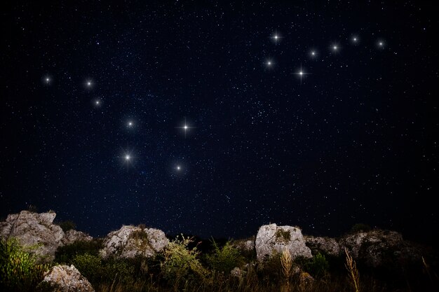 Constellations de la Grande Ourse et de la Petite Ourse