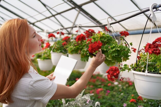 Contrôle intelligent des serres. Une travailleuse inspecte les fleurs rouges et note les données à la lumière du jour