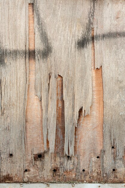 Copeaux de bois avec trous et peinture en aérosol