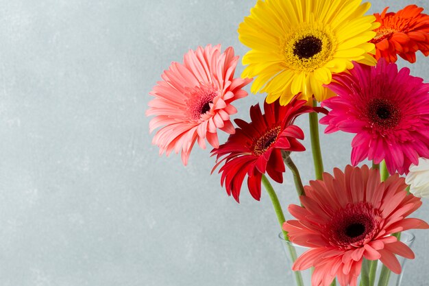 Copier le fond de l'espace avec des fleurs de gerbera