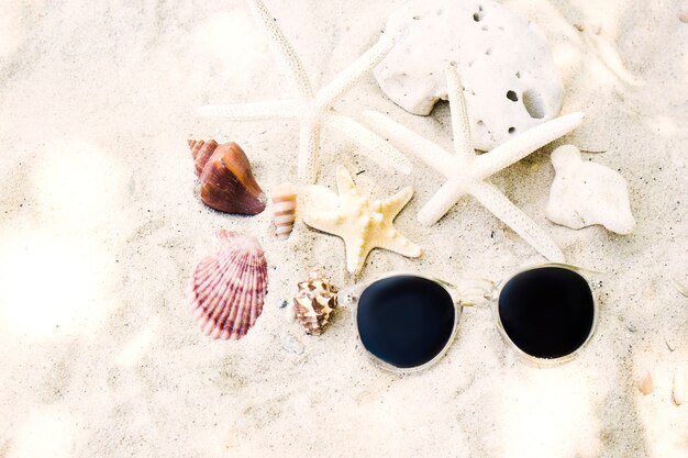 Coquillage et lunettes de soleil sur le sable
