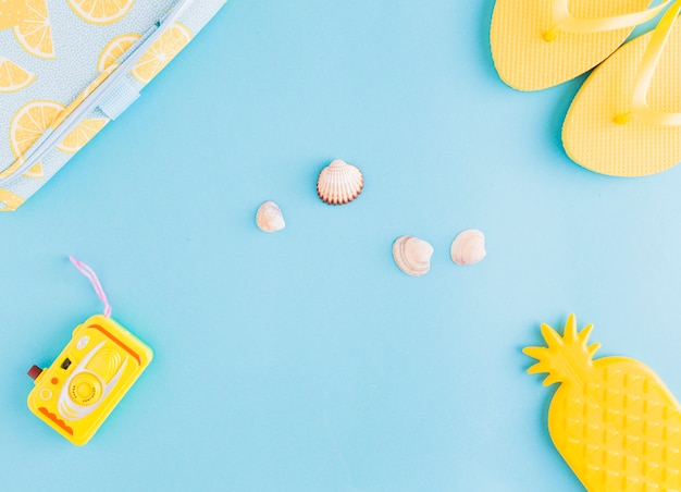 Coquillages et objets en bord de mer sur fond clair