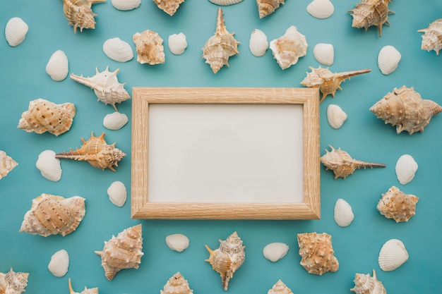 Photo gratuite coquillages et tableau blanc