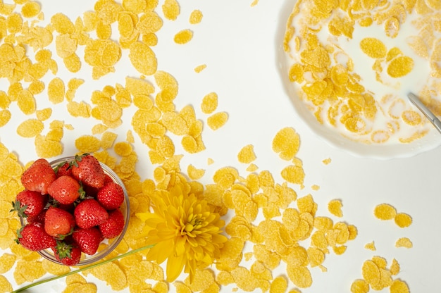 Corn flakes plat avec du lait et des fraises sur fond Uni