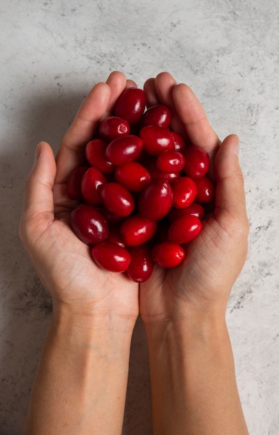 Cornels rouges dans la main d'un homme.