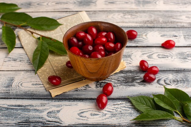 Cornouiller rouge à l'intérieur du bol brun sur gris