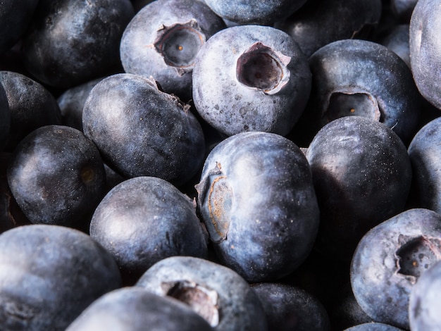 Coseup de bleuets frais au flou artistique