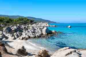 Photo gratuite côte de la mer égée avec verdure autour, rochers, buissons et arbres, eau bleue, grèce