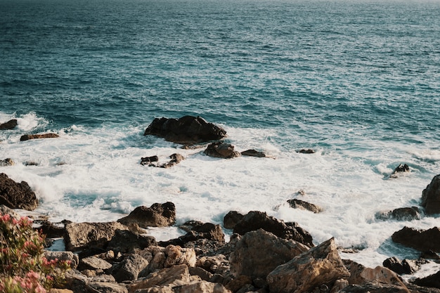 Côte rocheuse avec des vagues éclaboussant