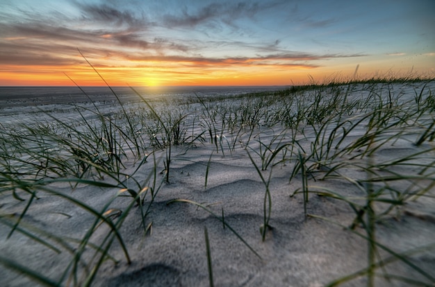 Côte de sable couverte dans l'herbe entourée par la mer pendant un beau coucher de soleil