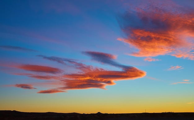 Coucher du soleil de groupe de palmiers de la Californie