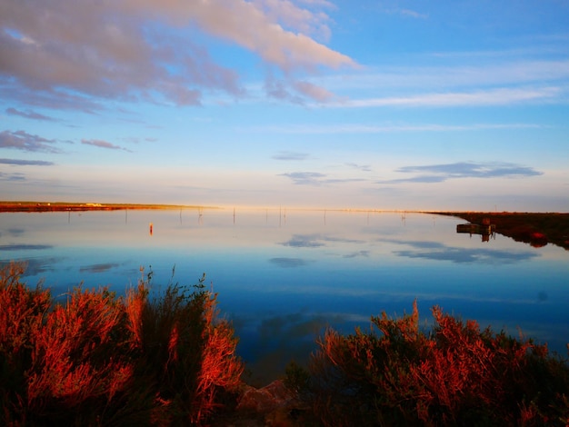 Coucher de soleil sur l'étang en automne dans le sud de la France