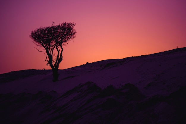 Photo gratuite coucher de soleil rose et orange