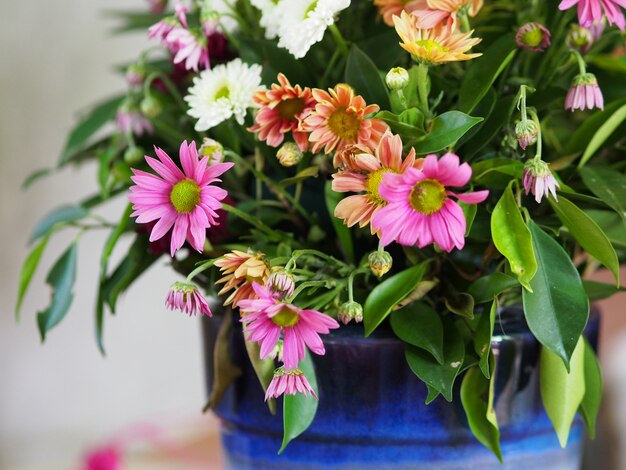 couleur blanche arrangement botanique d&#39;orange