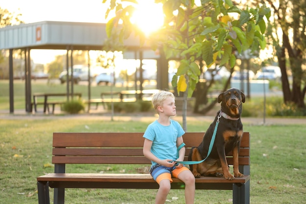 Coup de focus peu profond d'un petit garçon blond avec un chien brun sur un banc en bois