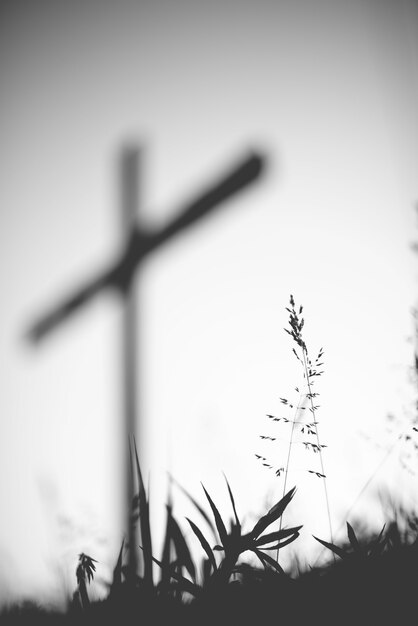 Coup de gris vertical d'un champ herbeux avec une croix floue