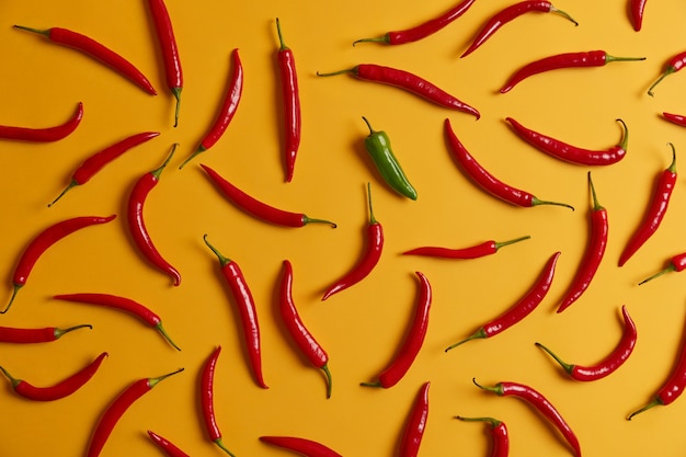 Coup horizontal au-dessus de la sélection de piment rouge chaud et un vert isolé sur fond jaune. Légumes frais pour cuisiner le dîner. Concept d'arôme et d'assaisonnement. Riche récolte