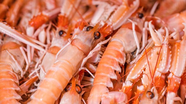 Coup de macro de crevettes fraîches dans un magasin