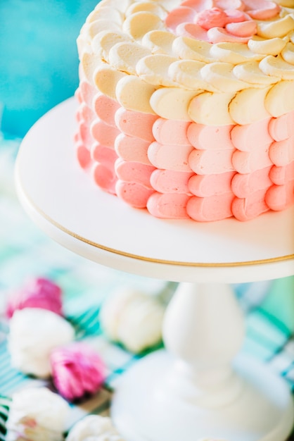 Coup de macro d&#39;un délicieux gâteau sur le plat de cuisson