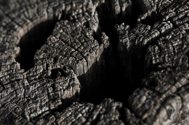 Coup de macro de texture en bois