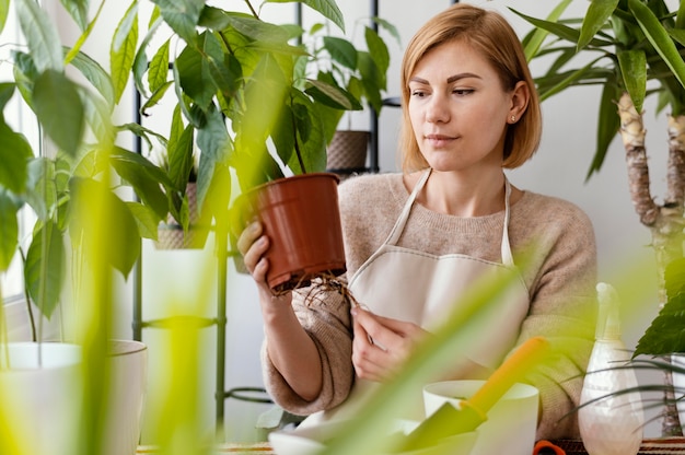 Coup moyen femme tenant les racines des plantes