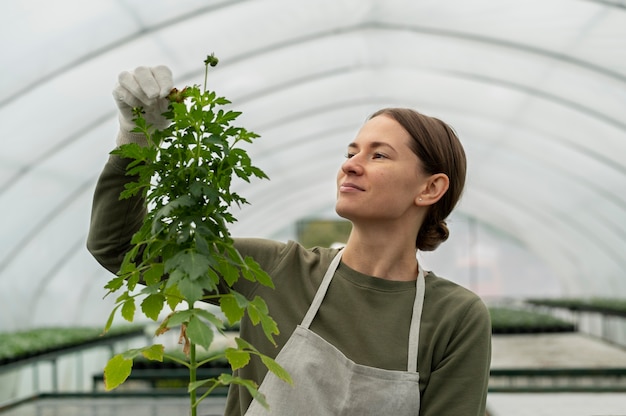 Coup Moyen Femme Vérifiant L'usine