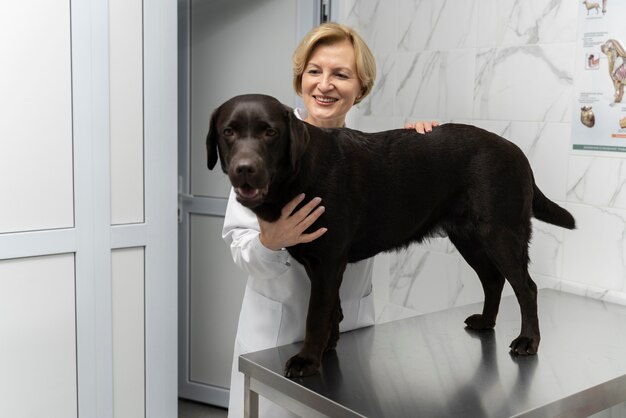 Coup moyen smiley femme tenant un chien