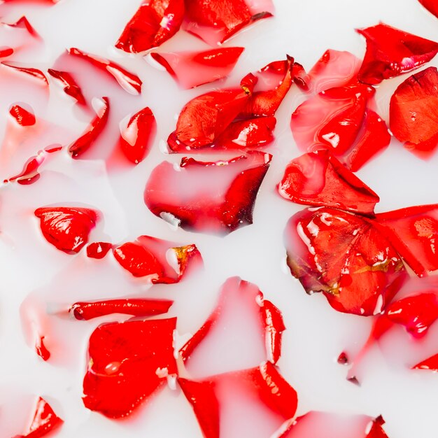 Coup de plein cadre de pétales de fleurs rouges flottant sur l'eau
