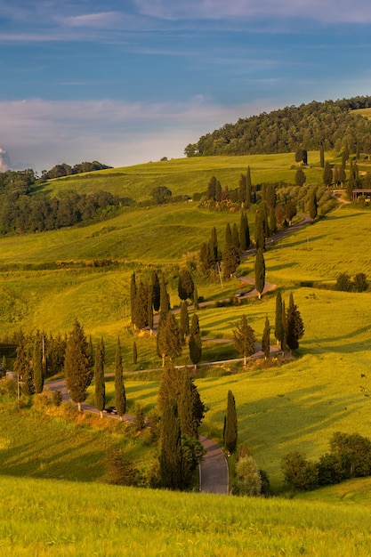 Coup vertical de champs verts entourés de collines dans la campagne