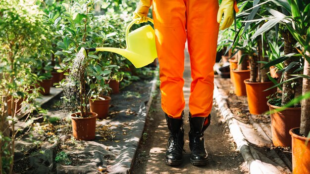 Coupe basse d&#39;un jardinier arrosant des plantes en pot