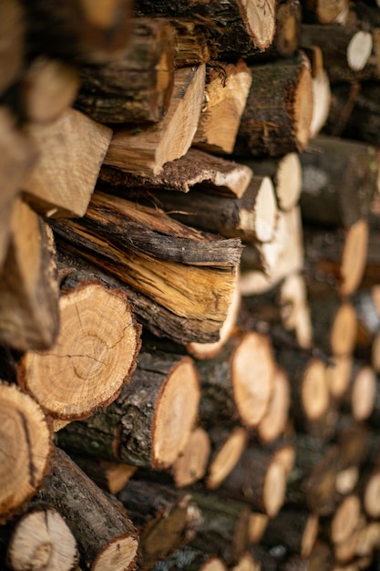 Coupez le bois de chauffage collé les uns sur les autres dans le support à bois de chauffage