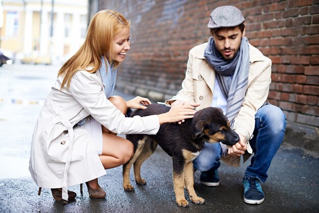 Photo gratuite couple ayant une bonne soirée avec leur animal de compagnie