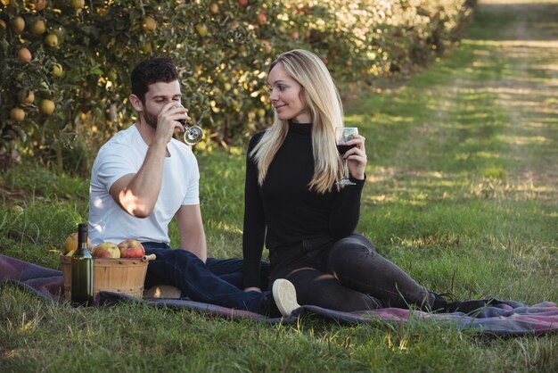 Couple ayant du vin dans un verger de pommiers