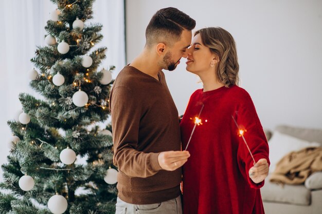 Couple célébrant Noël ensemble à la maison