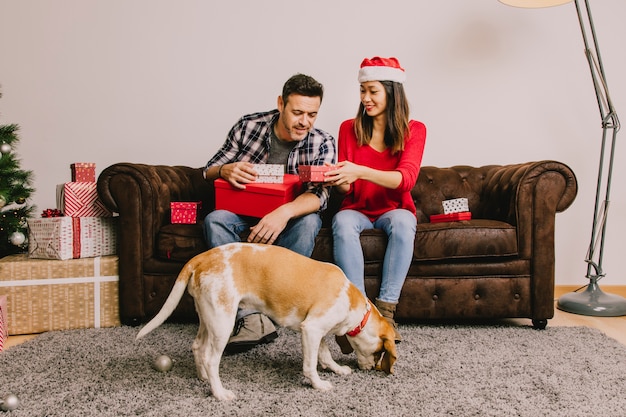 Photo gratuite couple avec un chien à noël