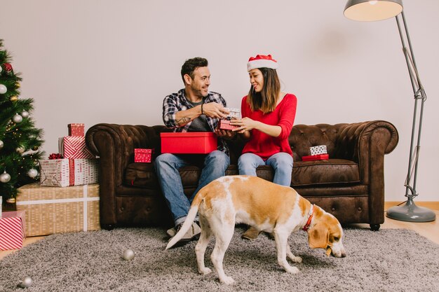 Couple avec un chien à Noël