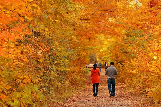 Photo gratuite couple dans des bois colorés avec feuillage d'automne dans le vermont