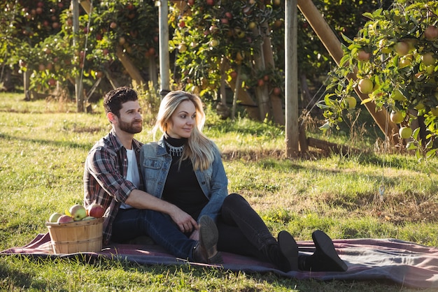 Couple heureux ensemble assis sur une couverture dans un verger de pommiers