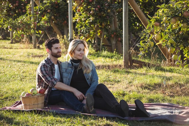 Couple heureux ensemble assis sur une couverture dans un verger de pommiers