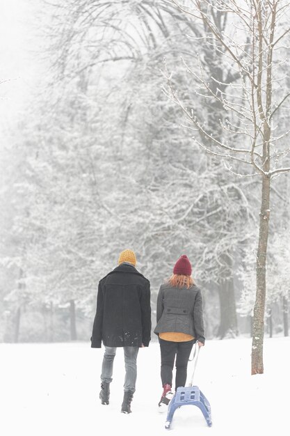 Couple, neige, traîner, traîneau