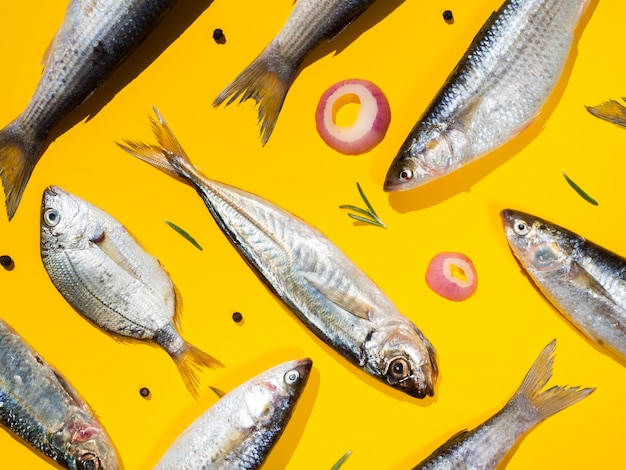 Photo gratuite couple de poissons frais avec fond jaune