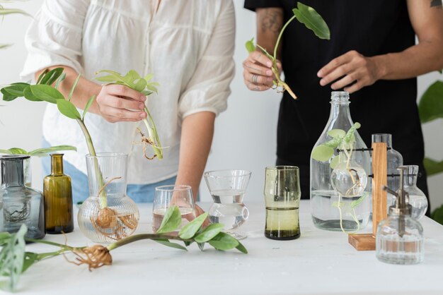 Couple propageant leurs plantes d'intérieur comme passe-temps ensemble