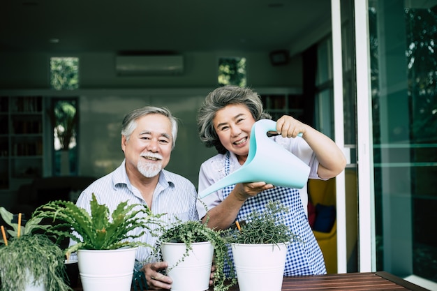 Des couples de personnes âgées discutant ensemble et plantent des arbres dans des pots.