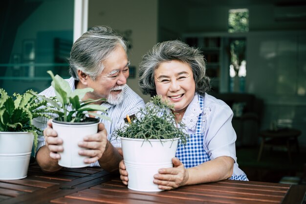 Des couples de personnes âgées discutant ensemble et plantent des arbres dans des pots.