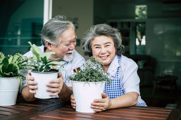 Des couples de personnes âgées discutant ensemble et plantent des arbres dans des pots.